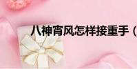 八神宵風怎樣接重手(八神宵風)