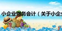 小企業財務會計(關于小企業財務會計簡介)