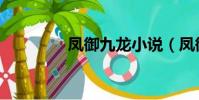 鳳御九龍小說(鳳御九龍)