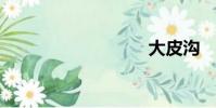 大皮溝