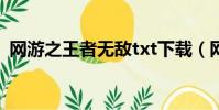 網游之王者無敵txt下載(網游之王者無敵)