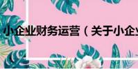 小企業財務運營(關于小企業財務運營簡介)