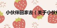 小伙伴回家去(關于小伙伴回家去簡介)