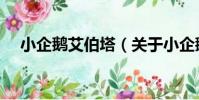 小企鵝艾伯塔(關于小企鵝艾伯塔簡介)