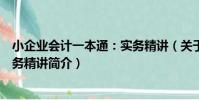 小企業會計一本通:實務精講(關于小企業會計一本通:實務精講簡介)