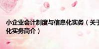 小企業會計制度與信息化實務(關于小企業會計制度與信息化實務簡介)