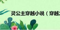 靈公主穿越小說(穿越之鬼靈公主)