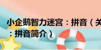 小企鵝智力迷宮:拼音(關于小企鵝智力迷宮:拼音簡介)