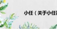 小任(關于小任簡介)
