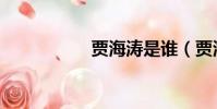 賈海濤是誰(賈海濤)