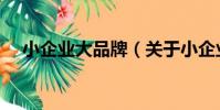 小企業大品牌(關于小企業大品牌簡介)