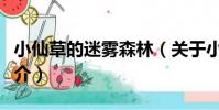 小仙草的迷霧森林(關于小仙草的迷霧森林簡介)