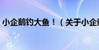 小企鵝釣大魚!(關于小企鵝釣大魚!簡介)