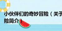 小伙伴們的奇妙冒險(關于小伙伴們的奇妙冒險簡介)