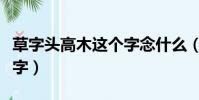 草字頭高木這個字念什么(草字頭高木念什么字)