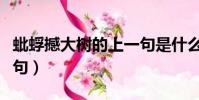 蚍蜉撼大樹的上一句是什么(蚍蜉撼大樹下一句)