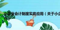 小企業會計制度實務應用(關于小企業會計制度實務應用簡介)
