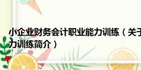 小企業財務會計職業能力訓練(關于小企業財務會計職業能力訓練簡介)