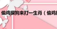 偷雞摸狗來打一生肖(偷雞摸狗打一個生肖)