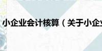 小企業會計核算(關于小企業會計核算簡介)