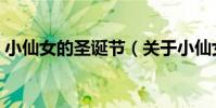 小仙女的圣誕節(關于小仙女的圣誕節簡介)