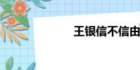 王銀信不信由你