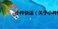 小件快運(關于小件快運簡介)