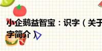 小企鵝益智寶:識字(關于小企鵝益智寶:識字簡介)