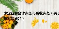 小企業的會計實務與稅收實務(關于小企業的會計實務與稅收實務簡介)