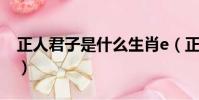 正人君子是什么生肖e(正人君子是什么生肖)