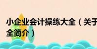 小企業會計操練大全(關于小企業會計操練大全簡介)