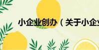 小企業創辦(關于小企業創辦簡介)