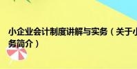 小企業會計制度講解與實務(關于小企業會計制度講解與實務簡介)