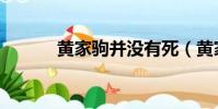 黃家駒并沒有死(黃家駒假死)