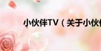 小伙伴TV(關于小伙伴TV簡介)