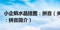 小企鵝水晶掛圖:拼音(關于小企鵝水晶掛圖:拼音簡介)