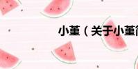 小堇(關于小堇簡介)