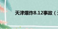 天津爆炸8.12事故(天津爆照)