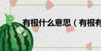 有根什么意思(有根有底的意思)