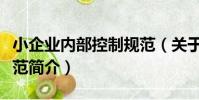 小企業內部控制規范(關于小企業內部控制規范簡介)