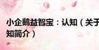 小企鵝益智寶:認知(關于小企鵝益智寶:認知簡介)