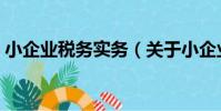 小企業稅務實務(關于小企業稅務實務簡介)