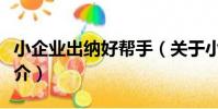 小企業出納好幫手(關于小企業出納好幫手簡介)
