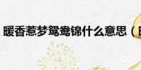 暖香惹夢鴛鴦錦什么意思(暖香惹夢鴛鴦錦)