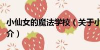 小仙女的魔法學校(關于小仙女的魔法學校簡介)