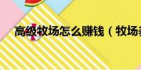 高級牧場怎么賺錢(牧場養什么最掙錢)