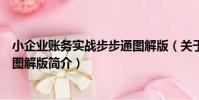 小企業賬務實戰步步通圖解版(關于小企業賬務實戰步步通圖解版簡介)