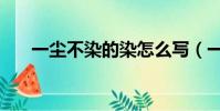 一塵不染的染怎么寫(一塵不染的染)