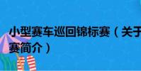 小型賽車巡回錦標賽(關于小型賽車巡回錦標賽簡介)