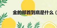 金的部首到底是什么(金的部首)